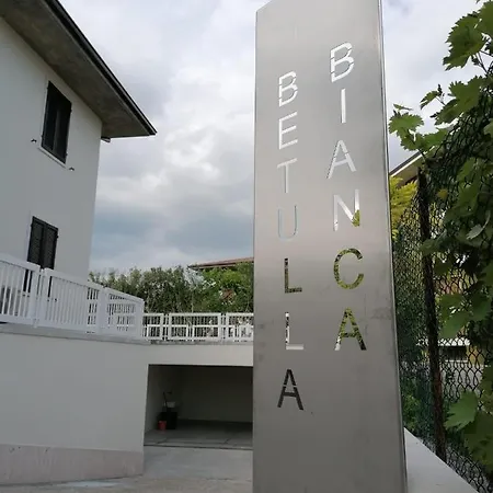 Betulla Bianca Bardolino