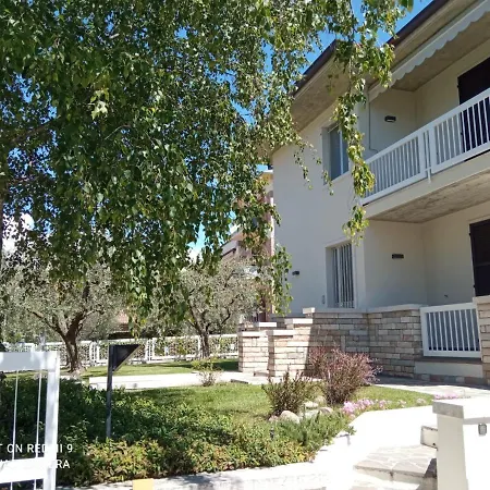 Betulla Bianca ברדולינו