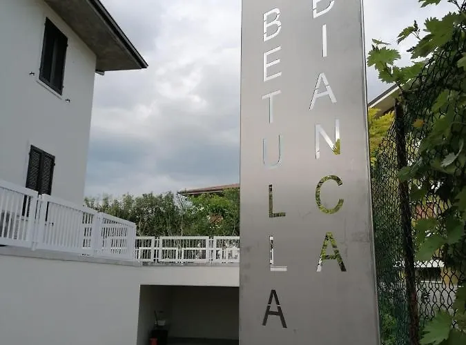 Betulla Bianca ברדולינו